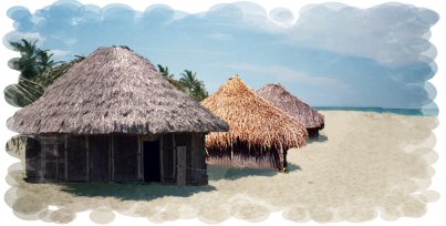 Tropical beach 