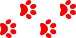 paw trail 