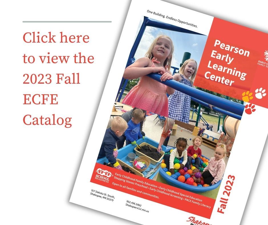  ECFE Catalog