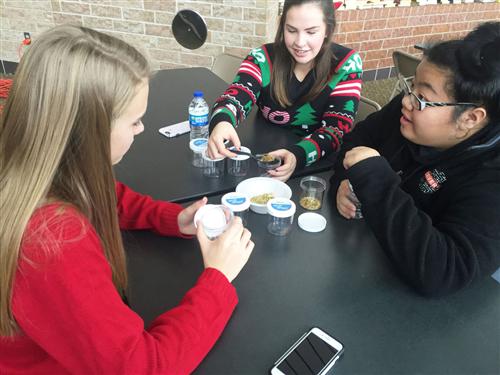 Shakopee High School students learn from CAPS Healthcare and Medicine students how to build "calming jars" and manage stress. 