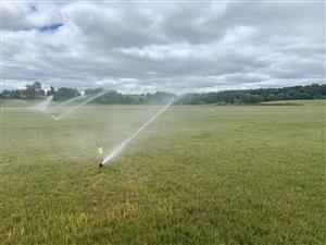 sprinkler 
